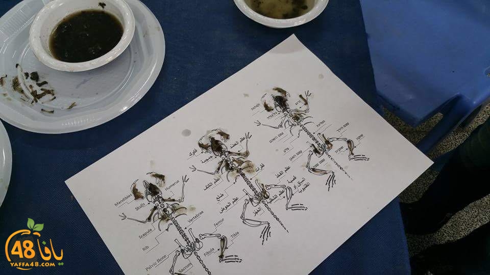 tomashin hlud (8).jpg